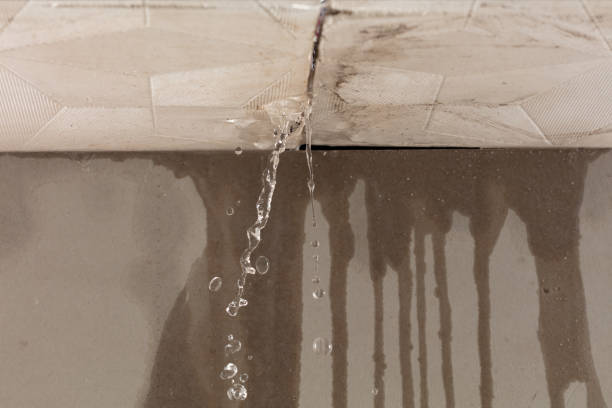 Professional Sewage Cleanup technician working in Martinsville, IL